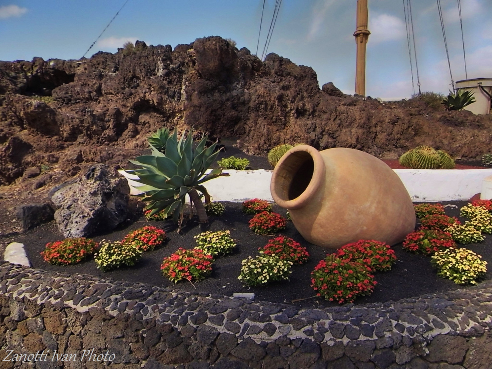 krajina, moře, Skála, pláž, ostrov, Lanzarote, strom, květ, rostlina, flóra, mar, playa, pramen, ostrovy, mer, kobyla, spiaggia, canaryisland, meer, jura, kanárek, křoviny, puertodelcarmen, Isolecanarie, plant community