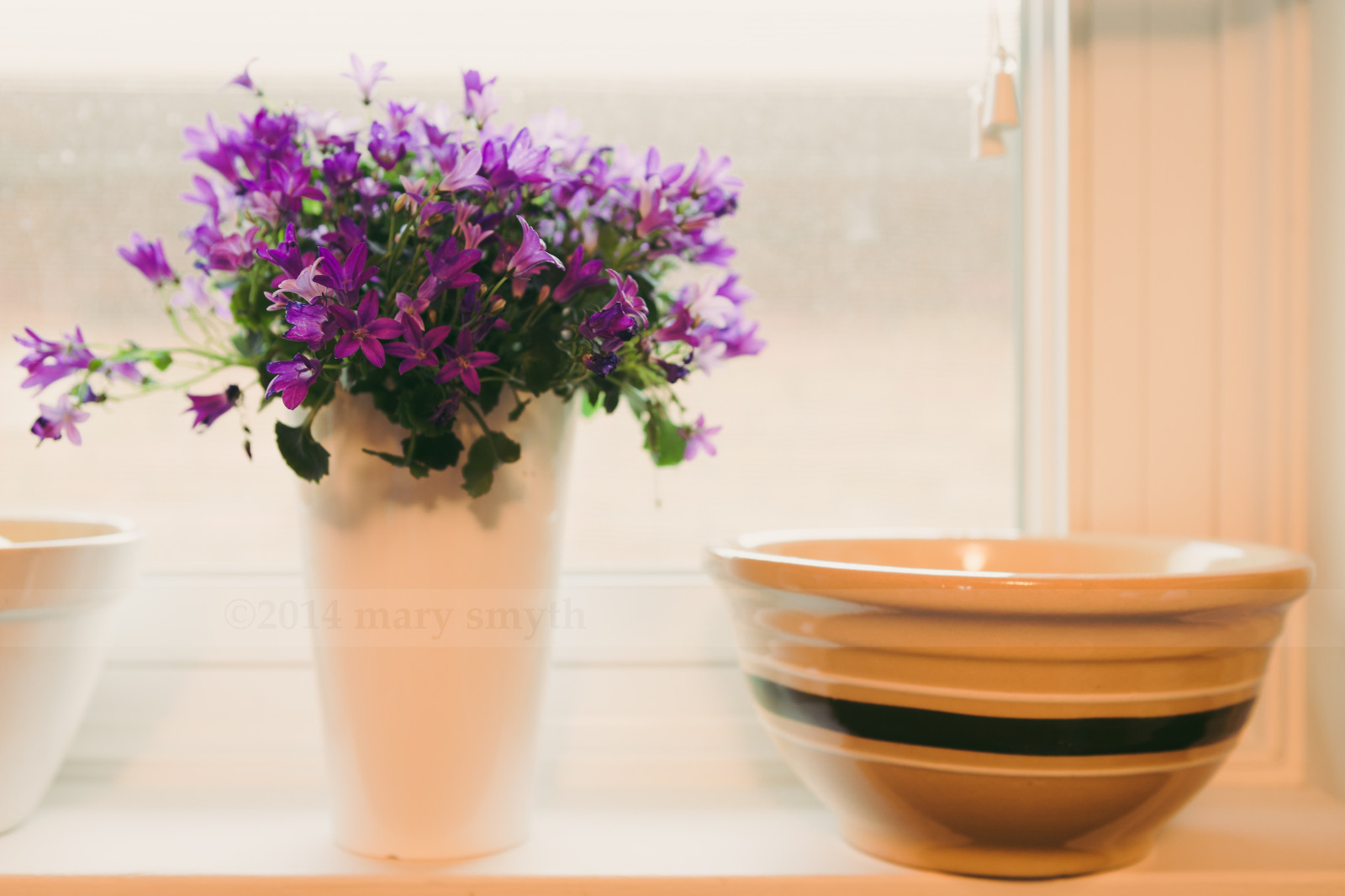 Wallpaper flowers, winter, light, purple, antique, bowls, windowsill