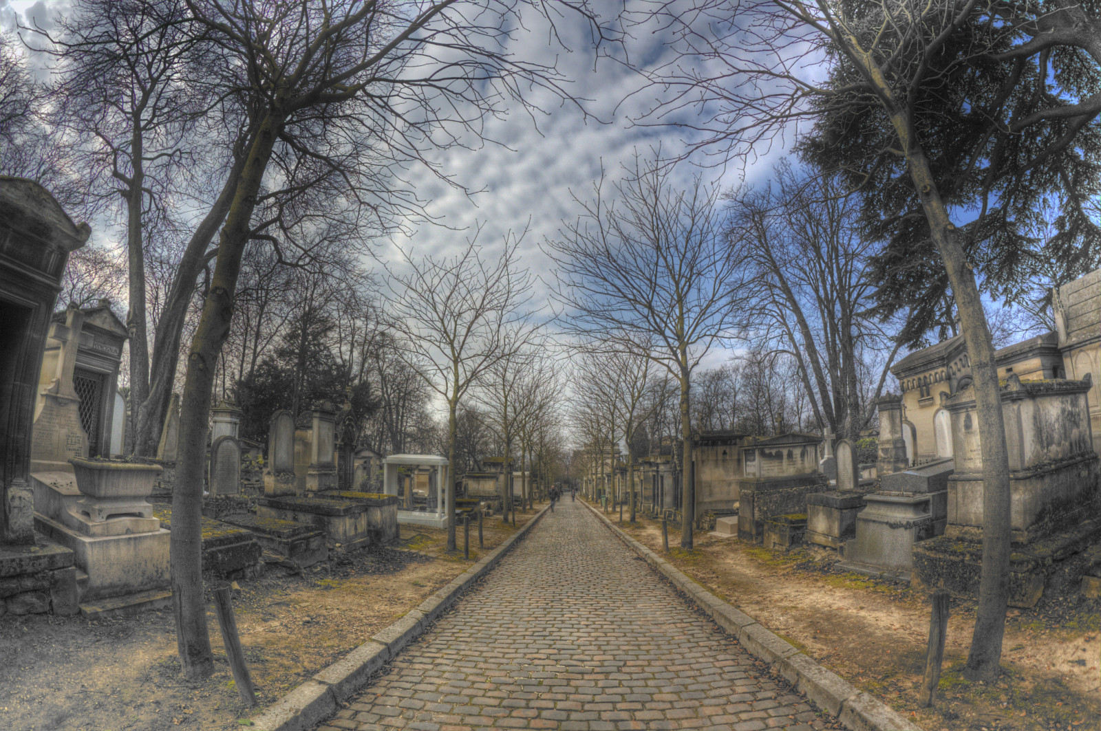 landskab, Photoshop, gade, arkitektur, himmel, vinter, vej, skyer, afdeling, landsby, Canon, HDR, Frankrig, kirkegård, kapital, Europa, Paris, forår, grav, Europa, fiskeøje, træ, plante, primavera, francia, Samyang, simplysuperb, marts, eos, architettura, Cimitero, Photomatix, 8mm, Parigi, marzo, 450D, Nuvole, pere, tombe, hdrawards, mariopolicorsi, capitale, Lachaise