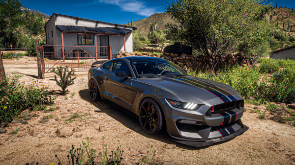 Ford,Forza Horizon 5,Forza,Forza Horizon,Shelby,drift