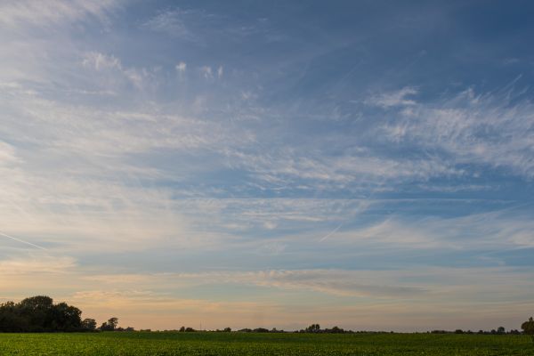 sunlight, landscape, sunset, hill, nature, grass