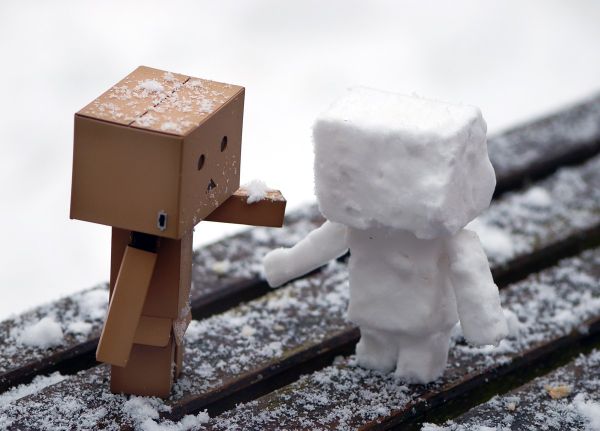 biały,śnieg,zimowy,Amazonka,Danbo,Zamrażanie