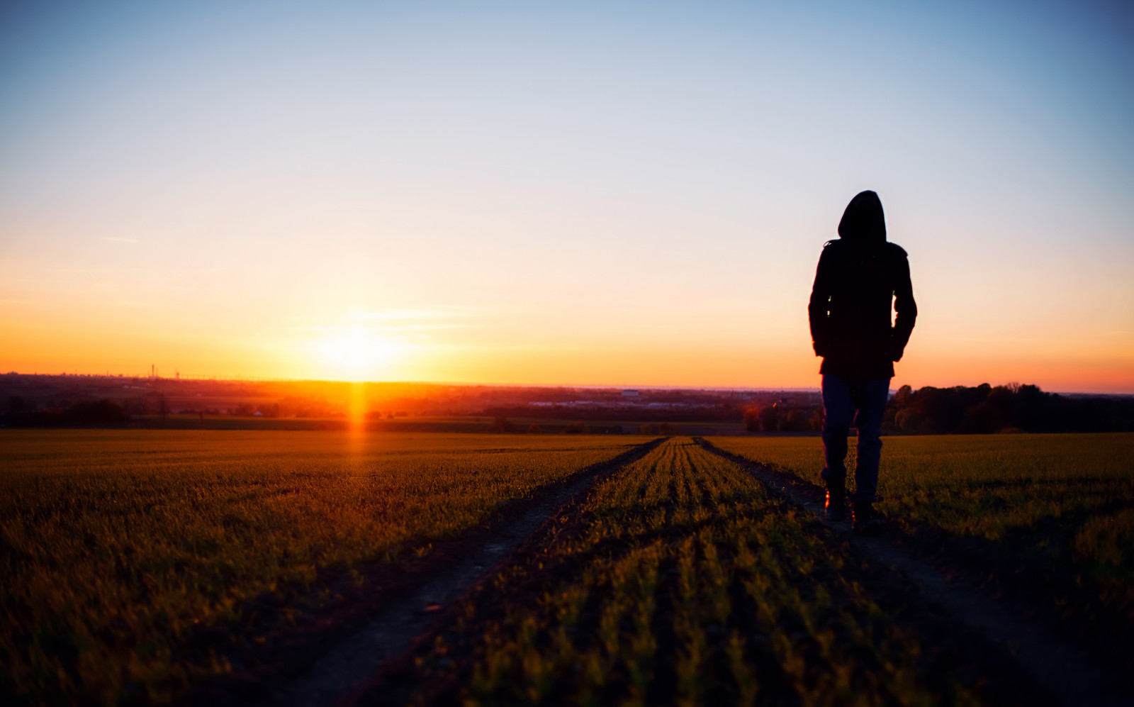 slunečnímu záření, krajina, lidé, portrét, západ slunce, Příroda, tráva, nebe, stín, pole, silnice, silueta, mraky, svítání, večer, ráno, slunce, hospodařit, sama, horizont, atmosféra, Nikon, podsvícení, Švédsko, soumrak, jasný, nosník, světlo, mrak, strom, NIKKOR, Procházka, zírající, svítání, lučina, procházka, rostlina, zemědělství, dolů, mě, Lund, člověk, jižní, prostý, 14, D700, oříznutí, Atmosféra Země, tráva rodina, ekoregion, appe, Skane, shadown, Selfportraite