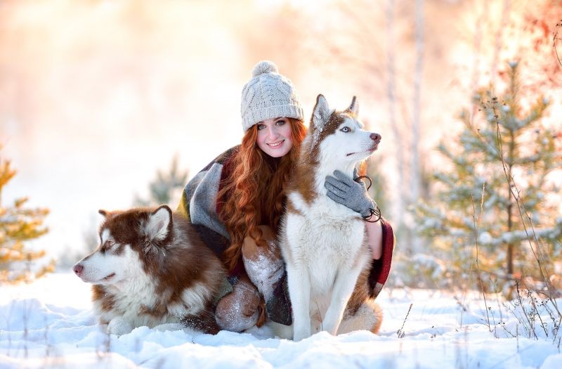 animals, women, model, snow, winter, dog animals, women, model, snow, winter, dog