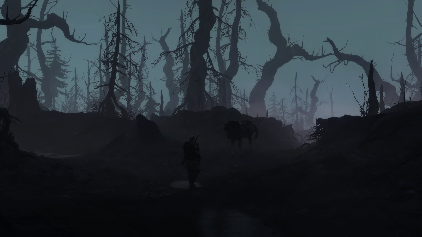 krajina, les, Černá, noc, kůň, nebe, mlha, atmosféra, půlnoc, Plotice, strom, mlha, tma, Snímek obrazovky, počítač tapeta, geologický fenomén, jev, Geralt, witcher3