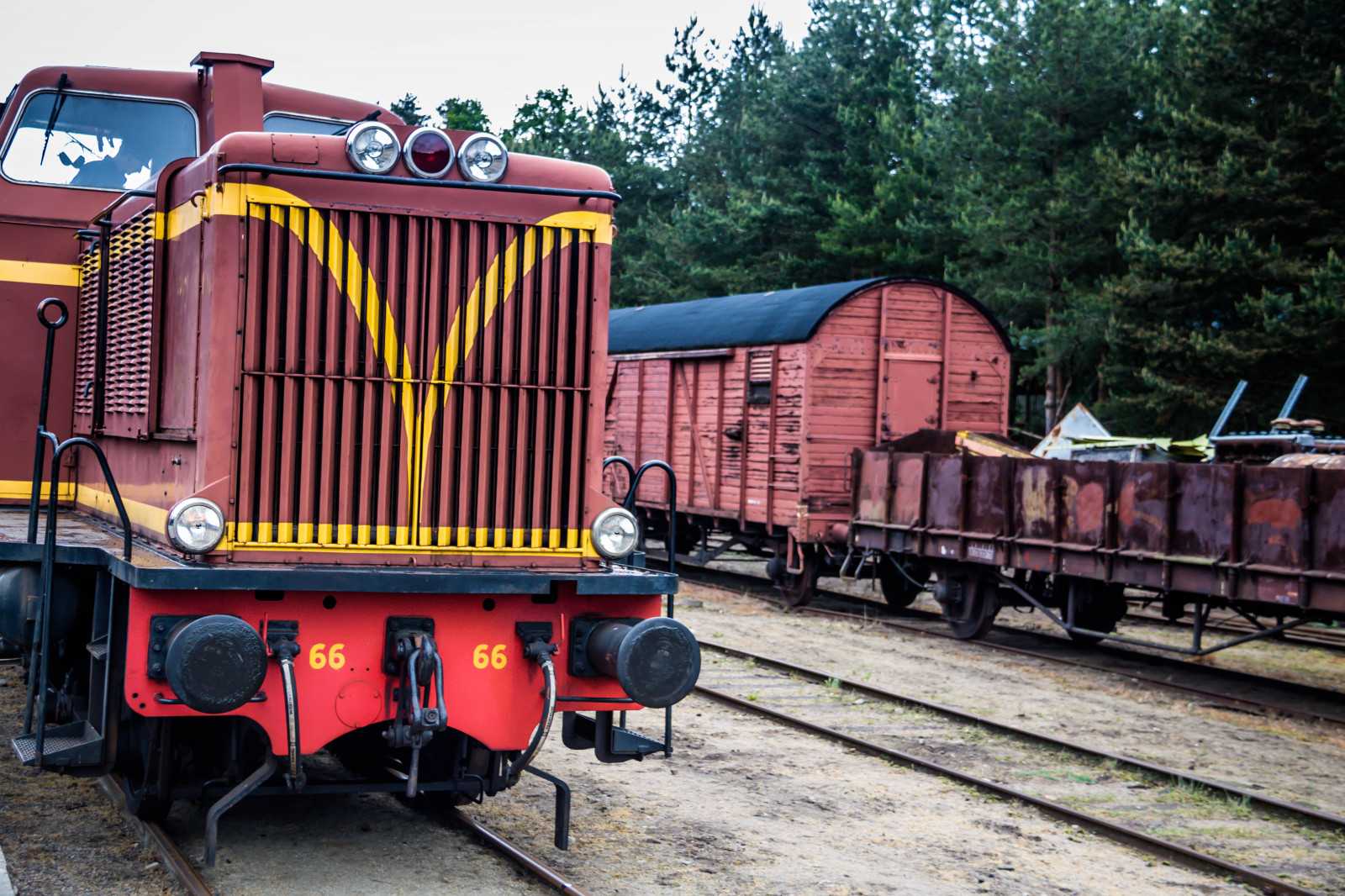 vecchio, veicolo, treno, trasporto, locomotiva, Ferrovia, Sterlen, t gstation, nglok, Gammal, modello canoneos760d exif, Marca fotocamera Canon, modello di fotocamera canoneos760d, geolocalizzazione, Lente exif efs18200mmf3556is, exif fare canon, exif apertura 40, exif ISOSPEED 125, exif focalLength 35 millimetri, traccia, br Sarp, museij RNV g, sk nskaj RNV gar, sterlenmuseij RNV g, carro, treno a vapore, Vagn, j RNV g, veicoli terrestri, trasporto pubblico, trasporto ferroviario, materiale rotabile, autovettura, vagone, motore a vapore, nolo auto