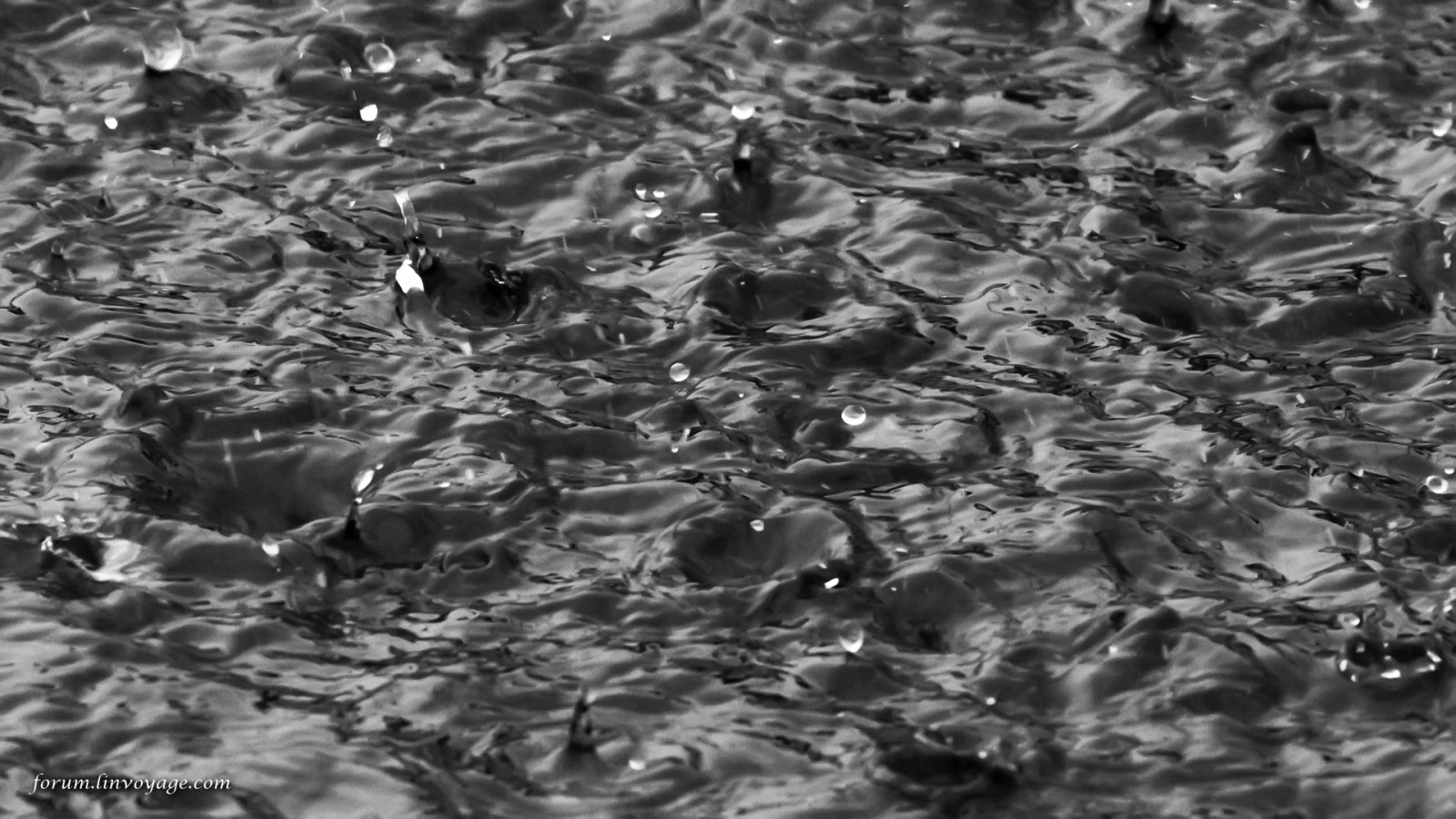 nave, barca, monocromo, mare, acqua, pioggia, fotografia, modello, yacht, all'aperto, far cadere, oceano, Materiale, gocciolina, phuketian, vela, phuketphotographernet, forumlinvoyagecom, httpforumlinvoyagecom, suolo, bianco e nero, fotografia in bianco e nero