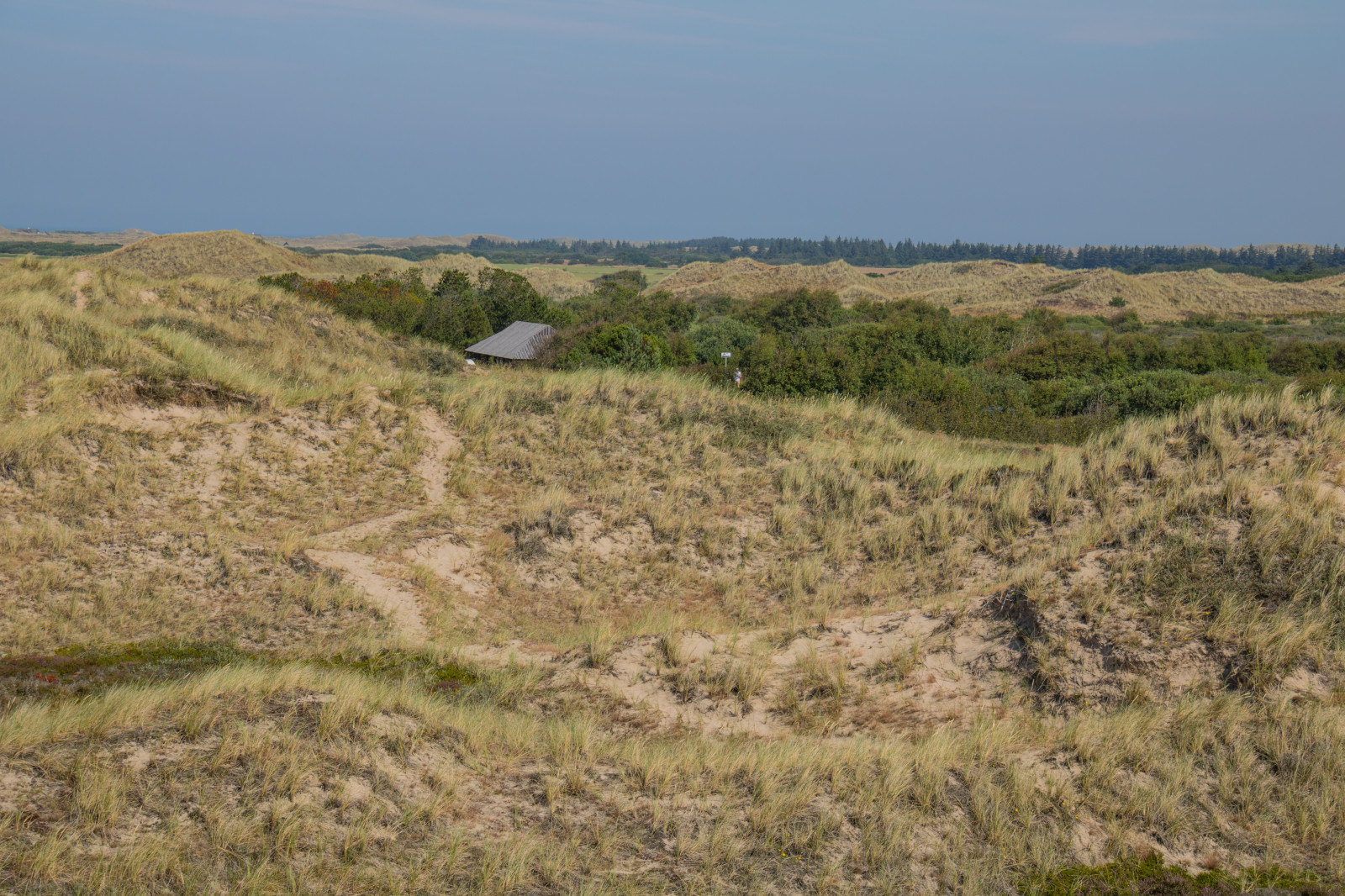 пейзаж, Холм, Песок, Скала, Дикая местность, Дюна, Дания, плато, Степь, Заболоченные земли, Гребень, Ландшафт, Гора, Пастбище, Знак опасности, Тропа, Скаген, Bunkenklitplantage, R bjergmile, Jylland, Sanddyn, Migratingcoastaldune, Равнинный, Прерия, Геология, естественная среда, окружающая среда, Географический объект, Экосистемный, Упал, Саванна, Бесплодные земли