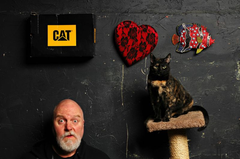 werehere, 365, lovenotesthatmadeussmile, lovenotes, studiocat, catlovesfish werehere, 365, lovenotesthatmadeussmile, lovenotes, studiocat, catlovesfish