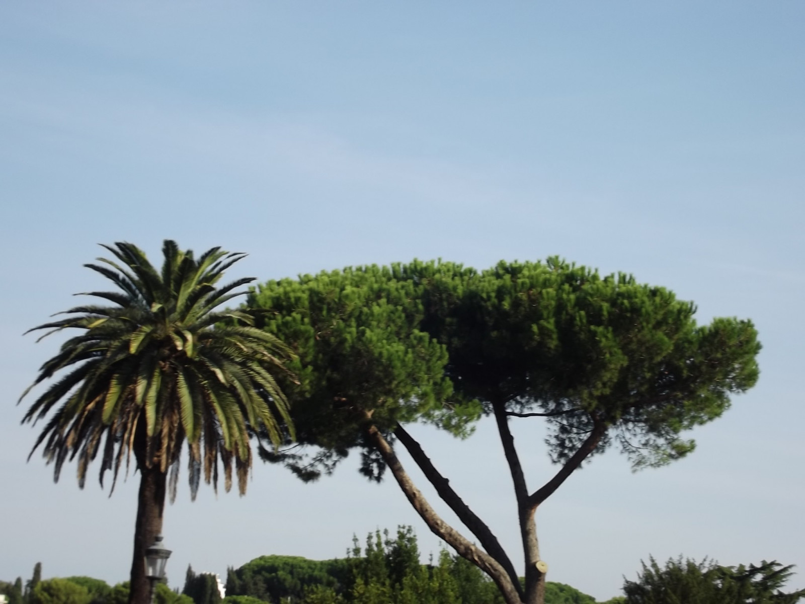 2048x1536 px, Italia, natură, Roma
