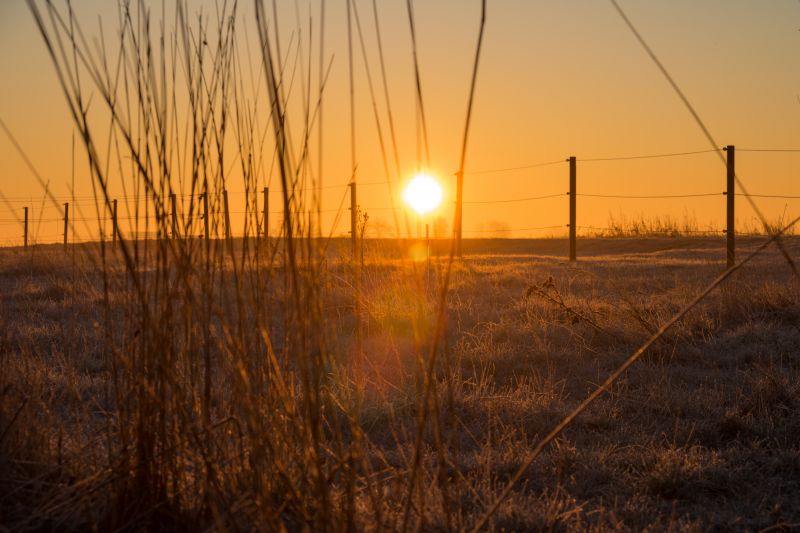 luce del sole, paesaggio, tramonto, riflessione, natura, erba
