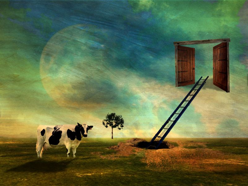 malování, nebe, kůň jako savci, jev, lučina, atmosféra