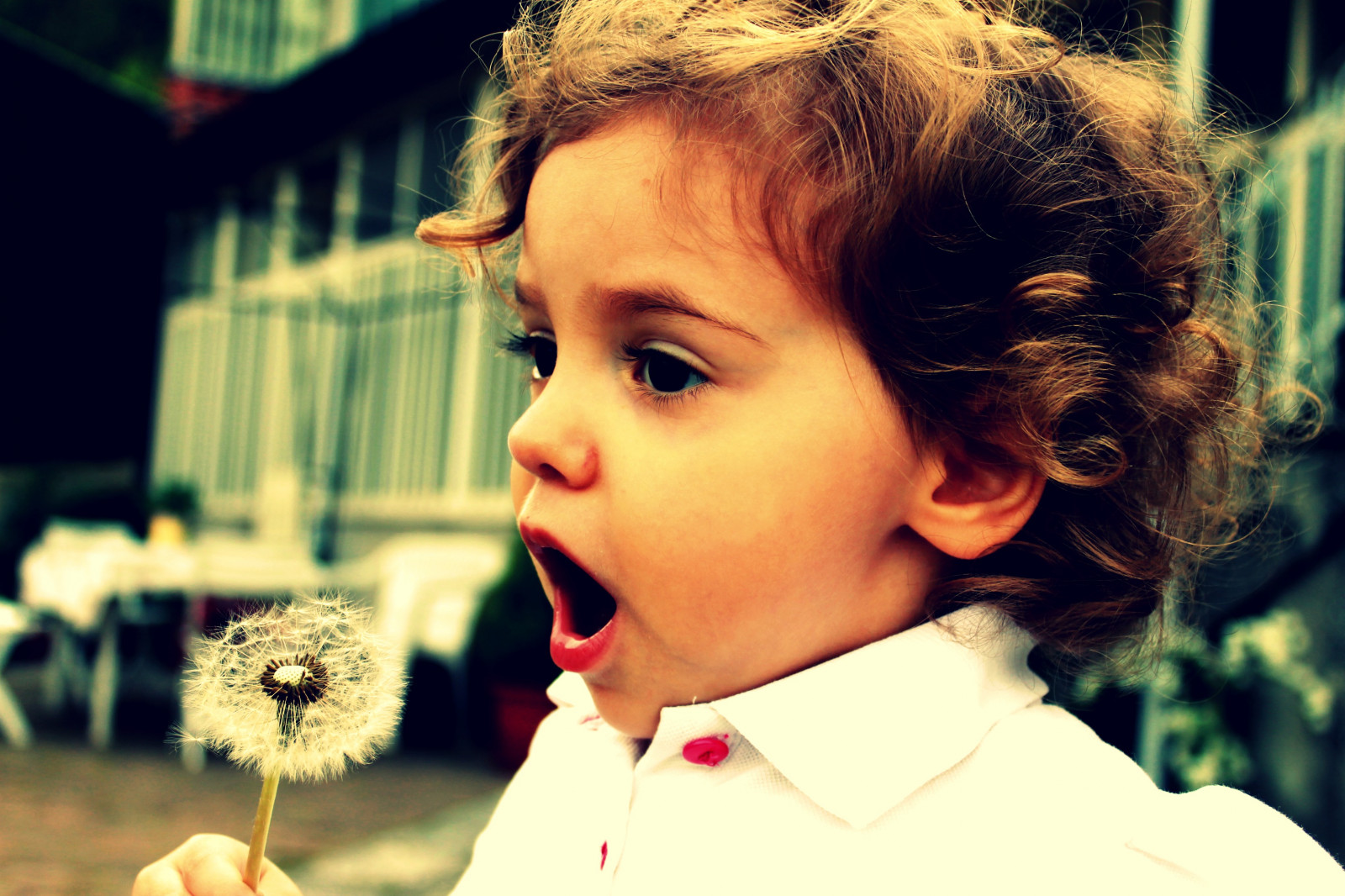 Itálie, dítě, primavera, jaro, Italia, Kampánie, dítě, ngc, di, provincia, Silná stránka, Benevento, Bambina, Soffia, soffioni, Cusano, mutri