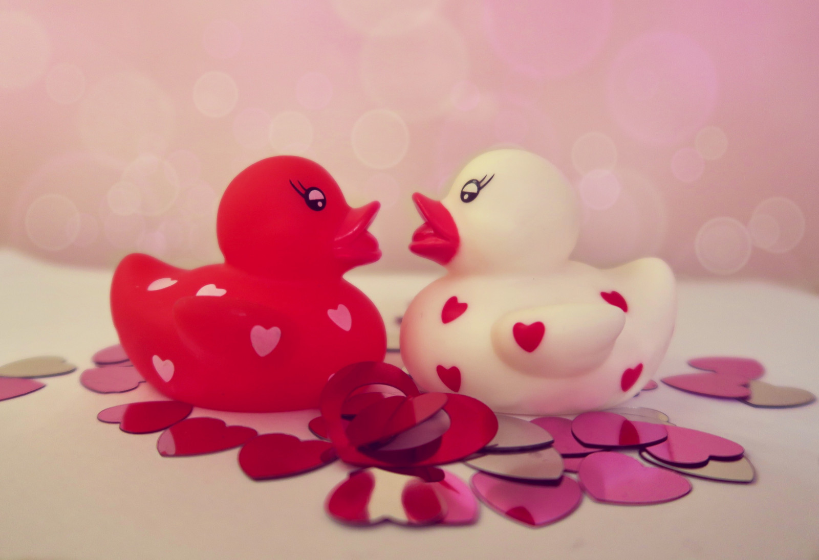 Wallpaper : love, heart, red, Valentine's Day, pink, magenta, hearts