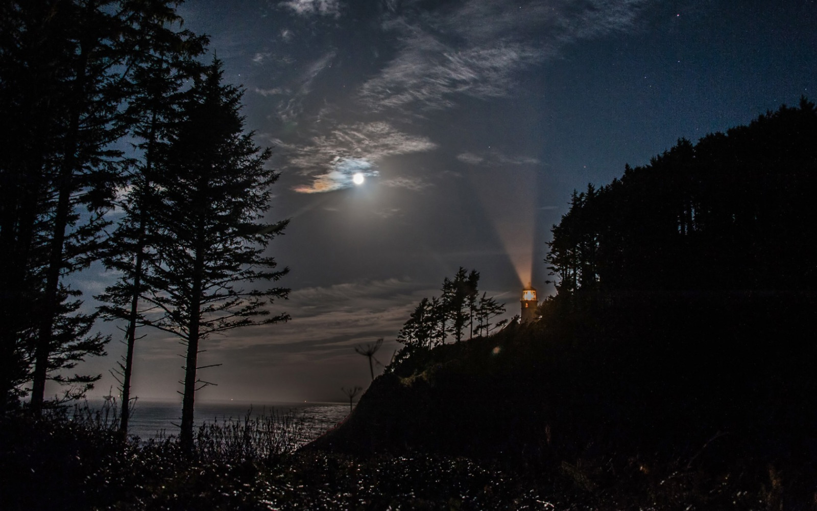 slunečnímu záření, stromy, západ slunce, moře, noc, Příroda, odraz, nebe, svítání, večer, ráno, maják, slunce, měsíční svit, atmosféra, soumrak, světlo, mrak, strom, hora, počasí, svítání, tma, atmosférický jev, astronomický objekt, úplněk