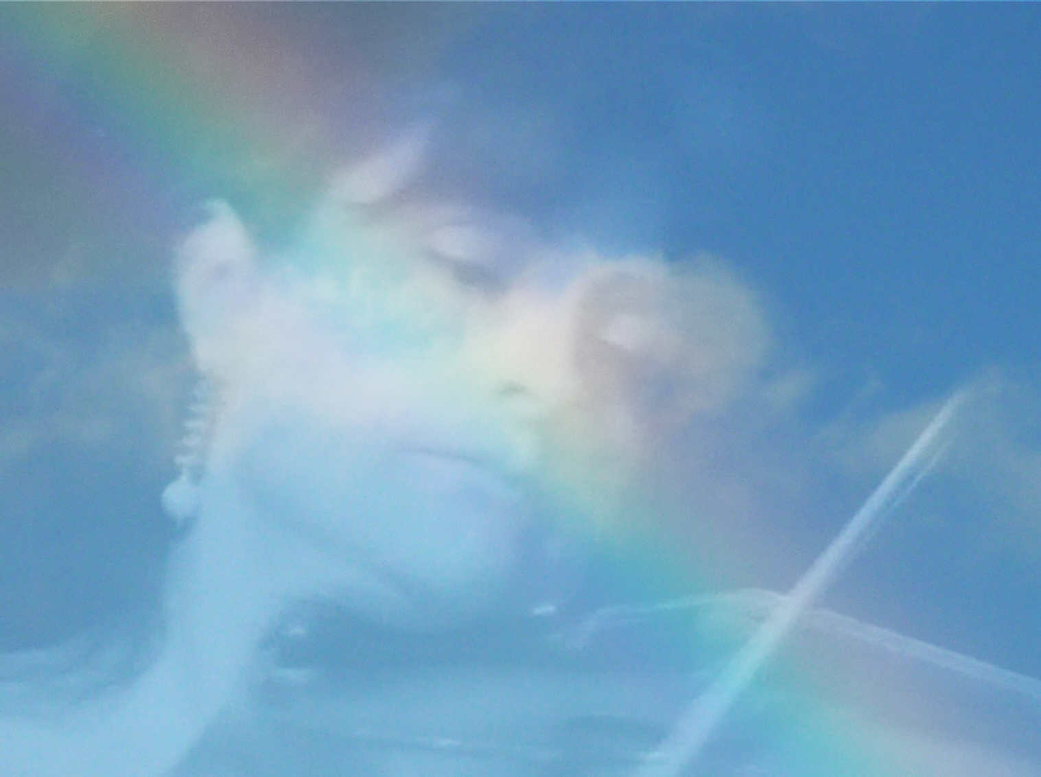 cielo, arcobaleno, himmel, violino, cielo, Carnegiehall, Insieme, arcobaleno, arco, violinista, regenbogen, Caleidoscopio, archi, Violino, Sovrapposizione, Violinista, Armonie, Tortoreto, Armonia, Giulianova, Duetti, Armonie, Viotti, Sovrapposte, andreacastagna, mygearandme, rememberthatmomentlevel1, Graziaraimondi, Istitutoverdiravenna, Josephgagliano