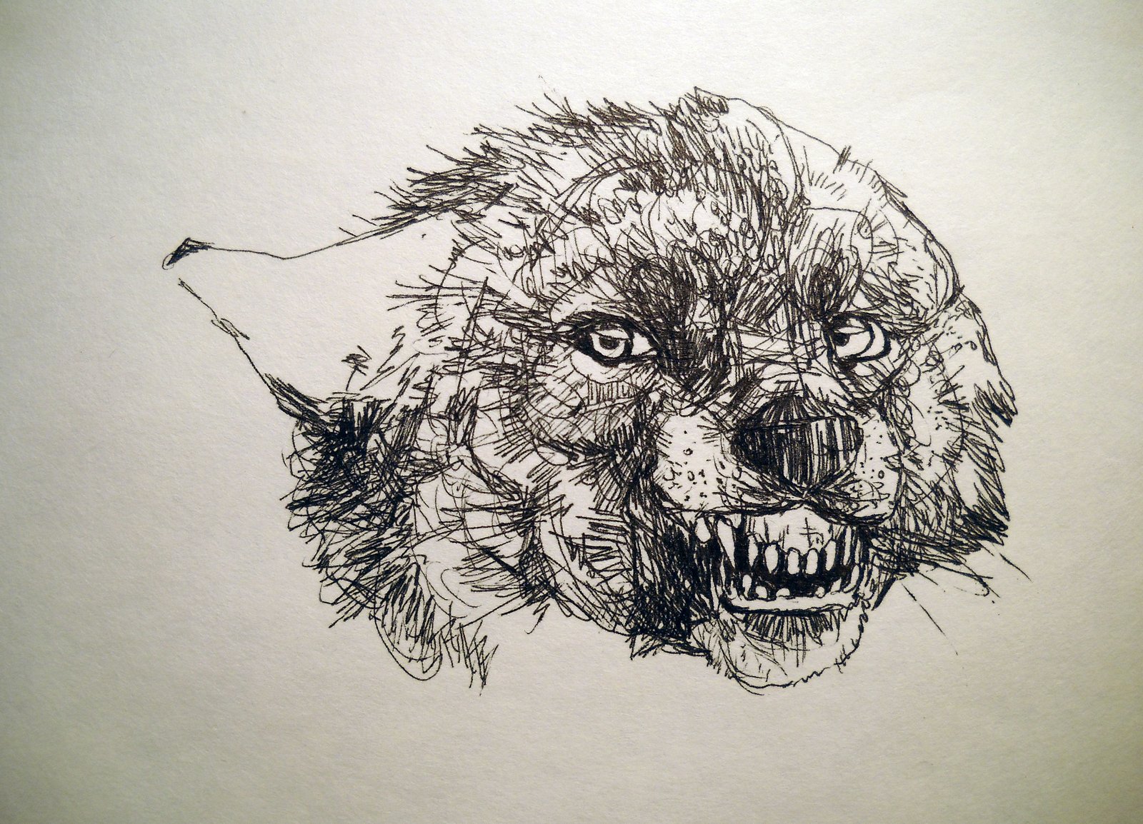 výkres, ilustrace, umělecká díla, vlk, inkoust, UMĚNÍ, 50, skica, strach, bic, postava výkres, na prodej, bicpen, mlewandowski