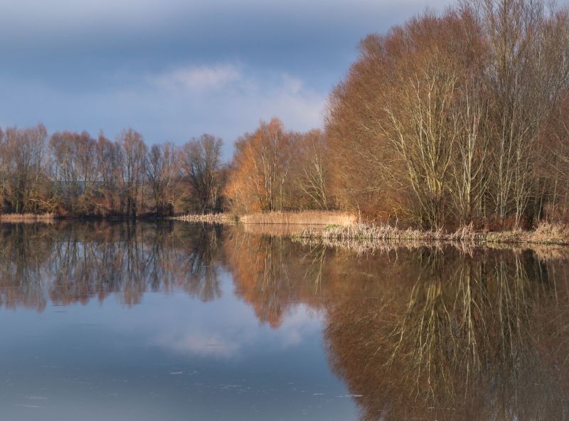 alberi,paesaggio,buckinghamshire,Milton Keynes,lago