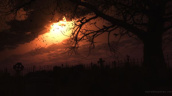 trees,digital art,sunlight,landscape,birds,dark