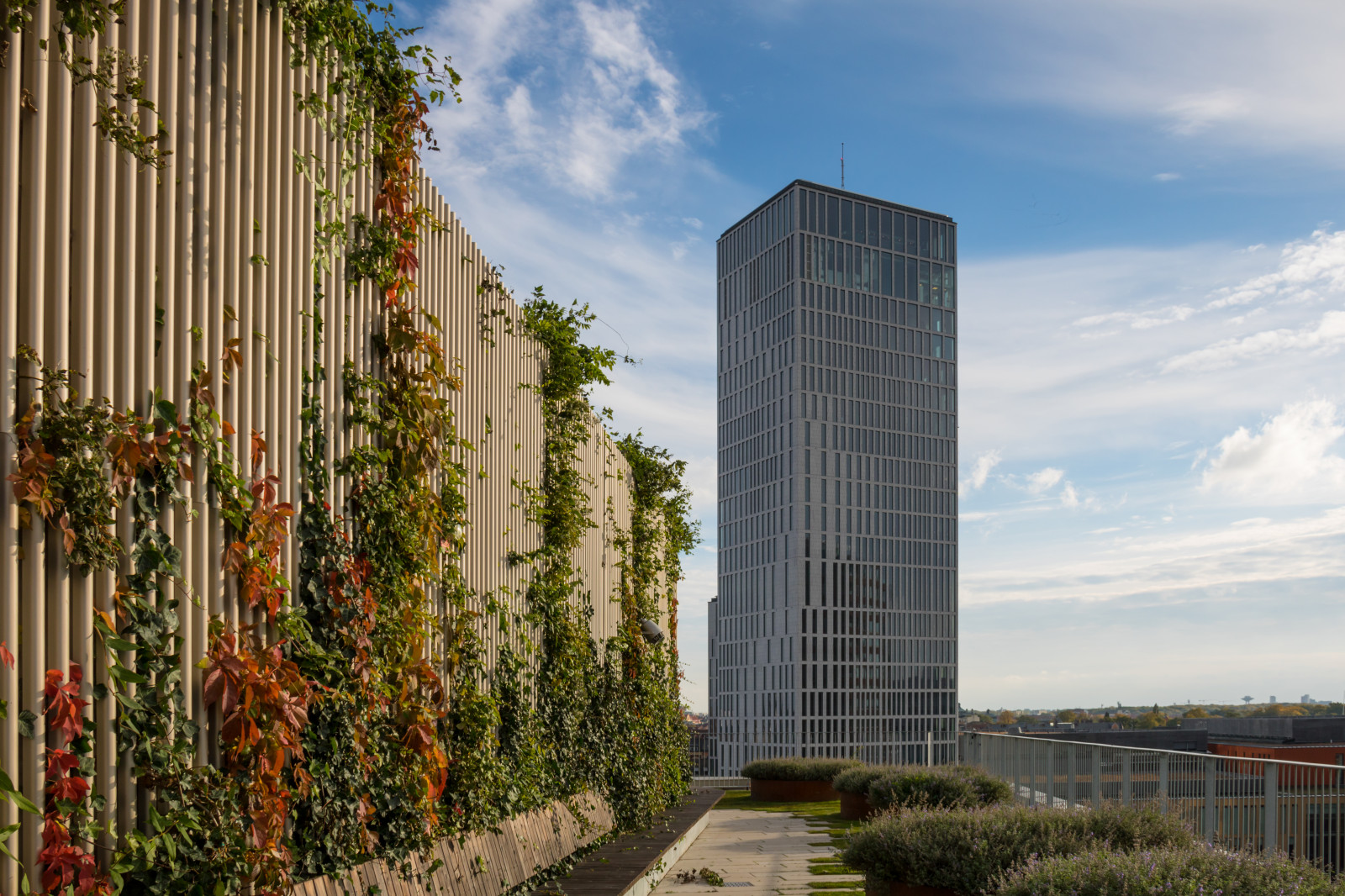 město, panoráma města, architektura, budova, Dům, mrakodrap, věž, Malm, centrum, Malm h gskola, Malm živě, byggnad, střešní terasa, takterass, kondominium, mezník, fasáda, hlavní sídlo, urban area, Metropolitní oblast, lidské osídlení, sousedství, obytný prostor, panelový dům