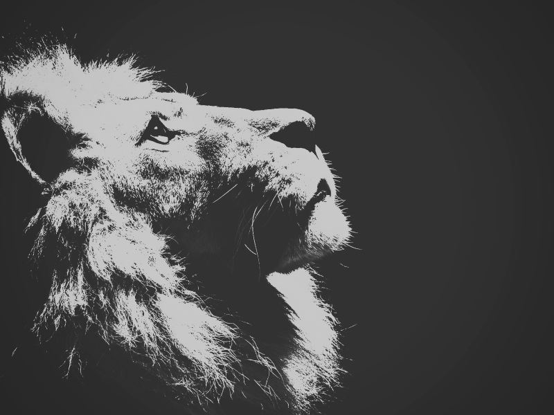 tegning, hvid, sort, illustration, monokrom, fotografering tegning, hvid, sort, illustration, monokrom, fotografering