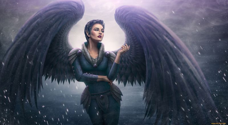 křídla, anděl, umělecká díla, fantasy umění, fantasy dívky křídla, anděl, umělecká díla, fantasy umění, fantasy dívky