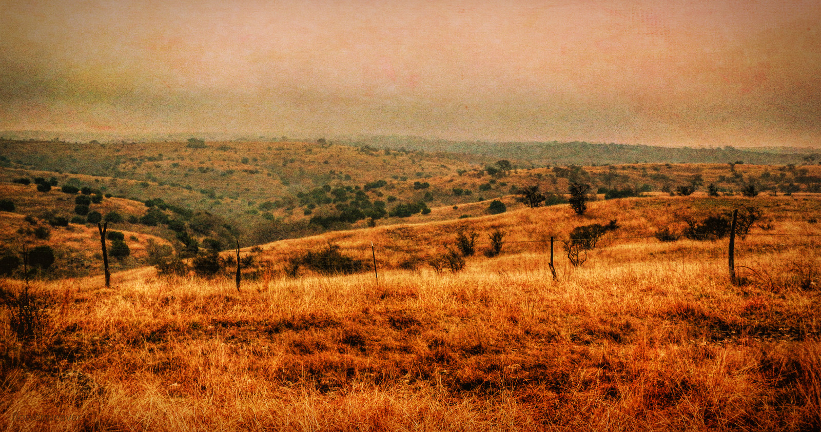 krajina, les, kopec, Příroda, tráva, pole, kopce, ráno, plot, divočina, mlhavý, plošina, venkovský, step, klidný, podzim, Pohled, lučina, přírodní, prostý, prérie, půda, venkov, místo výskytu, přírodní prostředí, atmosférický jev, savana, vlhký, dusný, bukolický