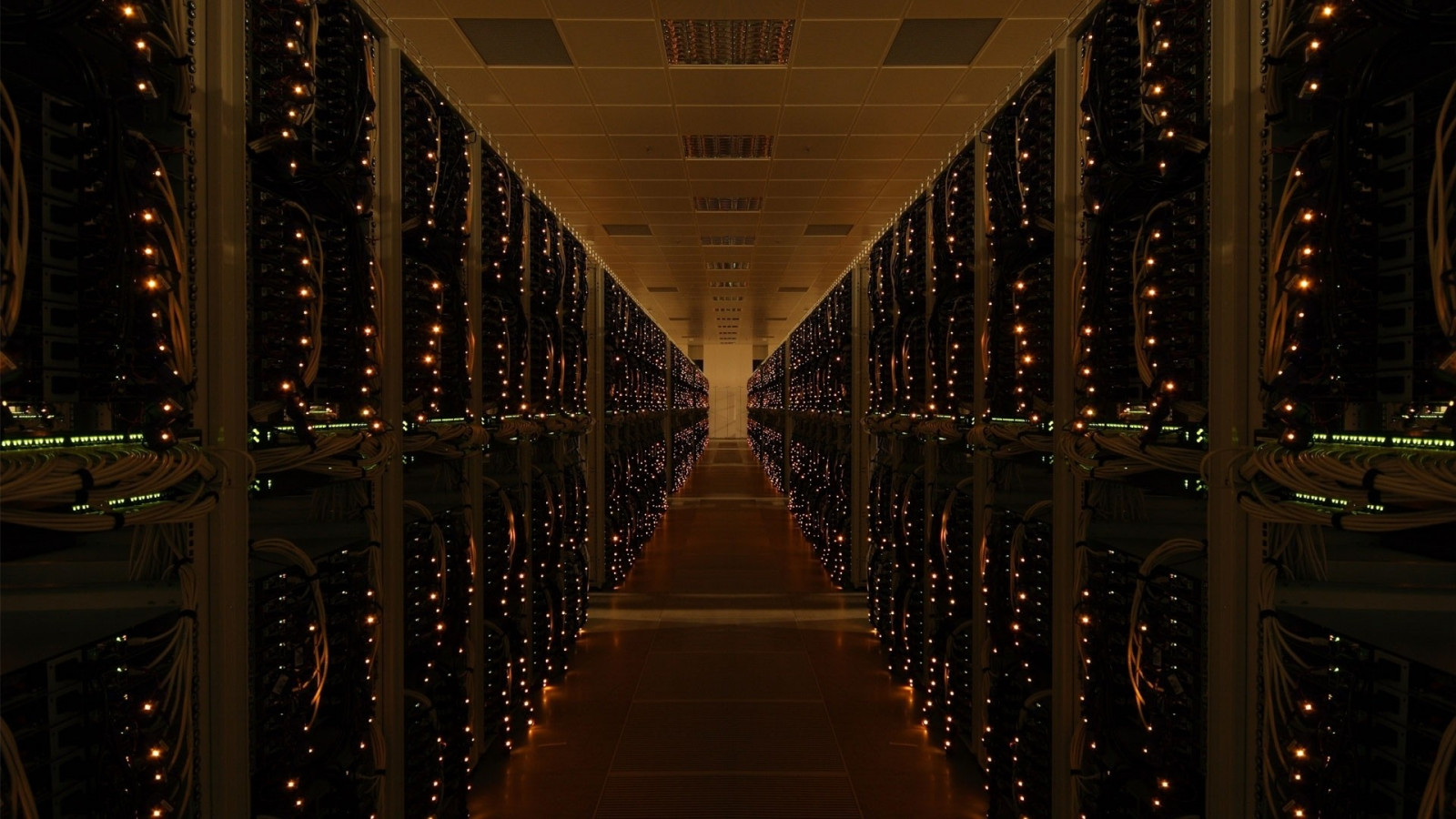 notte, simmetria, computer, leggero, illuminazione, azienda vinicola, cantina