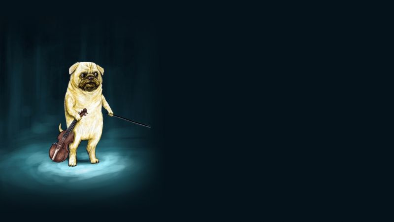 ouvrages d'art, Temps de l'aventure, obscurité, animaux, instrument de musique, chien ouvrages d'art, Temps de l'aventure, obscurité, animaux, instrument de musique, chien