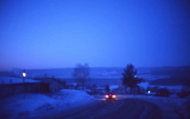 stromy, krajina, noc, Příroda, sníh, zima stromy, krajina, noc, Příroda, sníh, zima