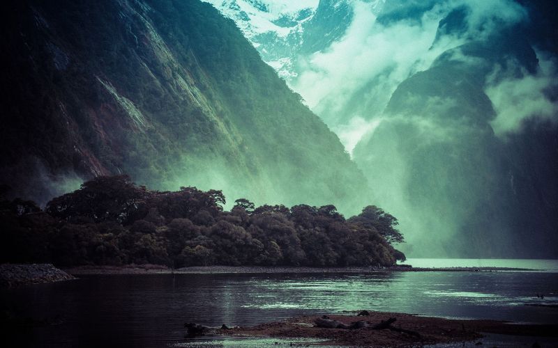 trees, forest, waterfall, sea, water, rock trees, forest, waterfall, sea, water, rock