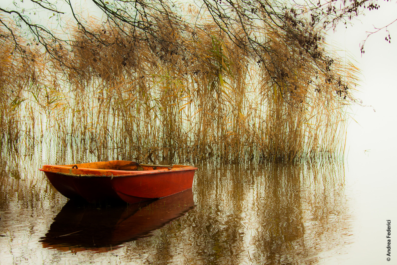 Červené, odraz, Kánon, loď, barca, rosso, riflesso, EOS50D, andreafederici