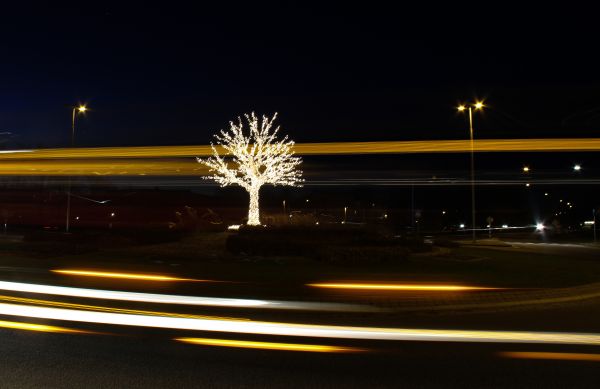 street light,dark,night,evening,reflection,yellow