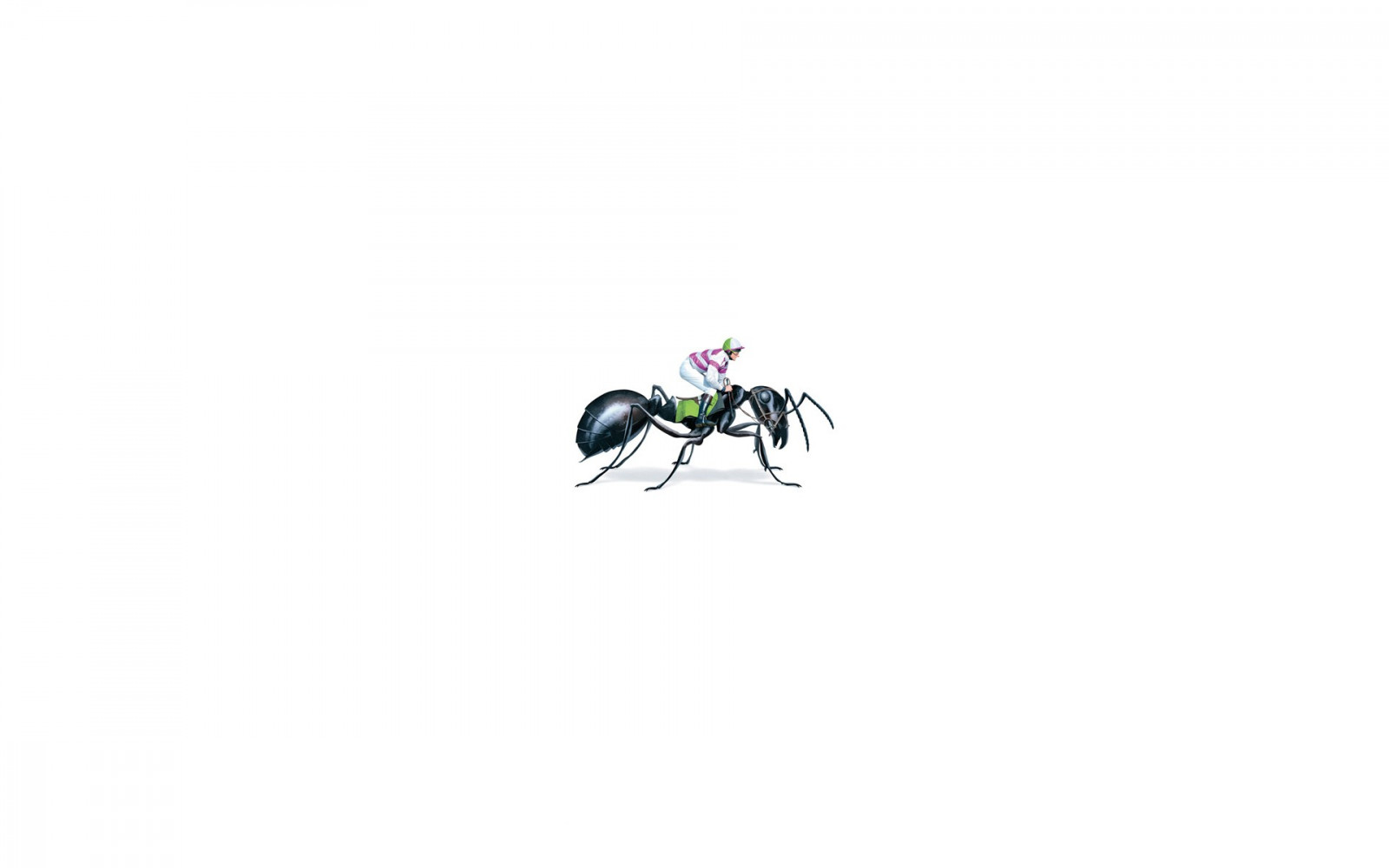 Wallpaper Digital Art Animals Minimalism Humor White Background Insect Cartoon Ants Horse Riding 1920x1200 Yearsl 136391 Hd Wallpapers Wallhere Feel free to download, share, comment and discuss every wallpaper you. digital art animals minimalism humor