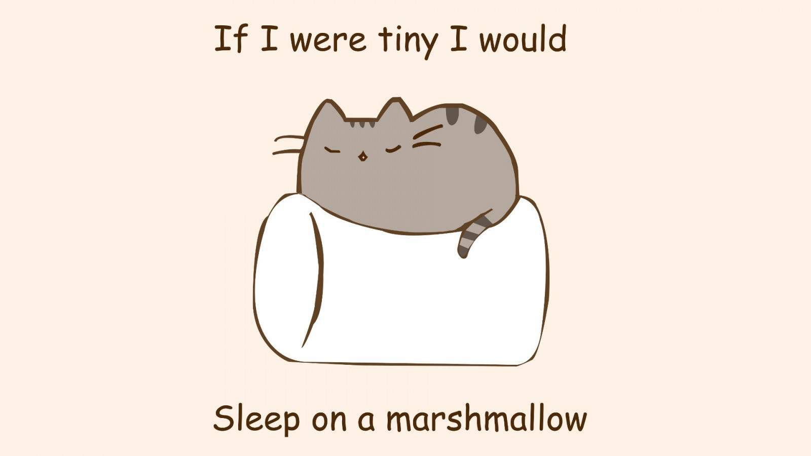 1920x1080 px, cats, marshmallow, minimalistic, paintings, phrase, simple, text
