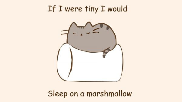 1920x1080 px,cats,marshmallow,minimalistic,paintings,phrase