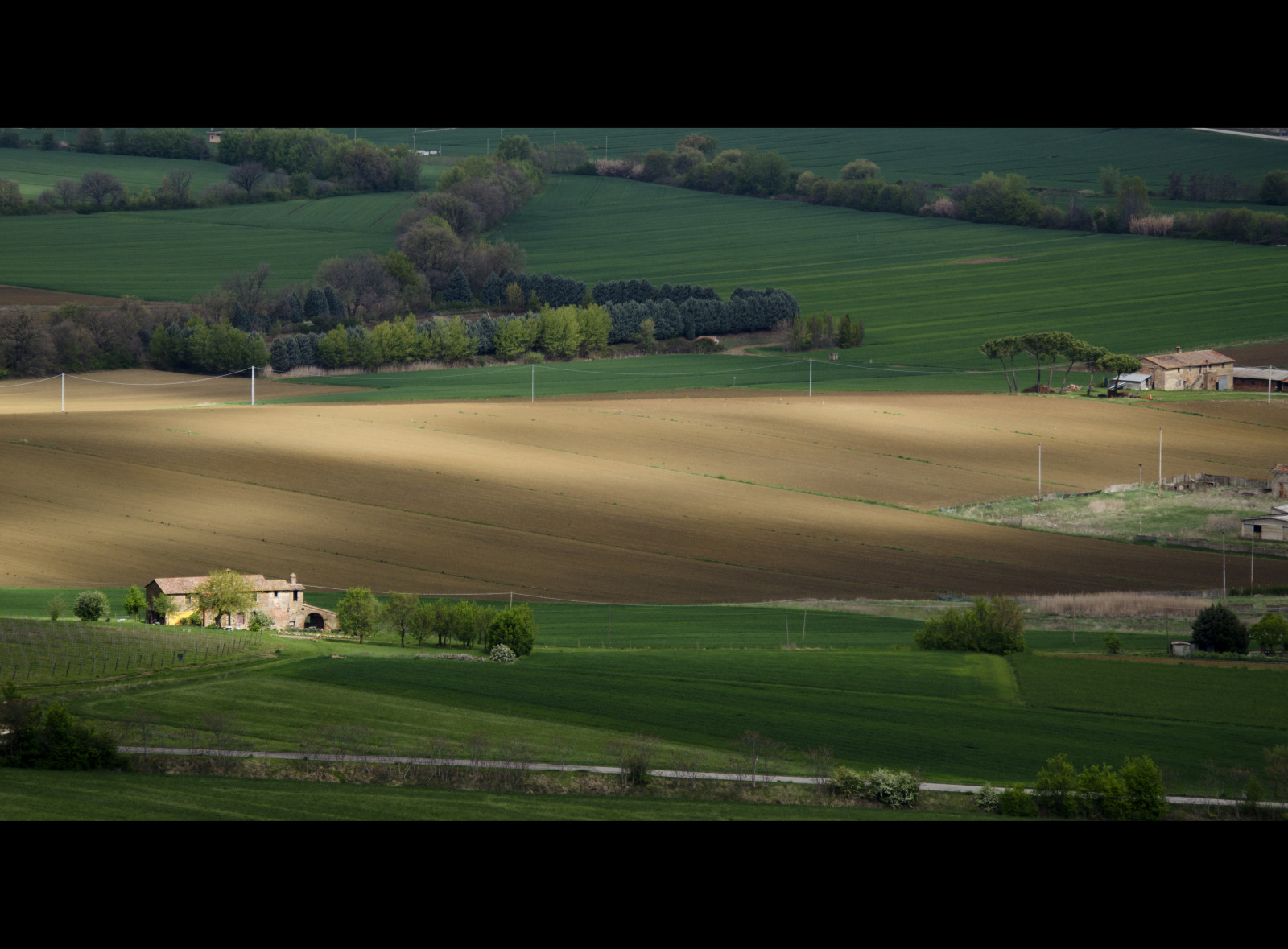 paesaggio, collina, natura, erba, campo, verde, mattina, azienda agricola, orizzonte, struttura, altopiano, corso di golf, nube, prateria, agricoltura, pianura, natura, amicizia, immagine dello schermo, prato, Nuvole, giancarlo, gianva, giancarlovayra, area rurale, atmosfera della terra, impianto sportivo, fotografia aerea