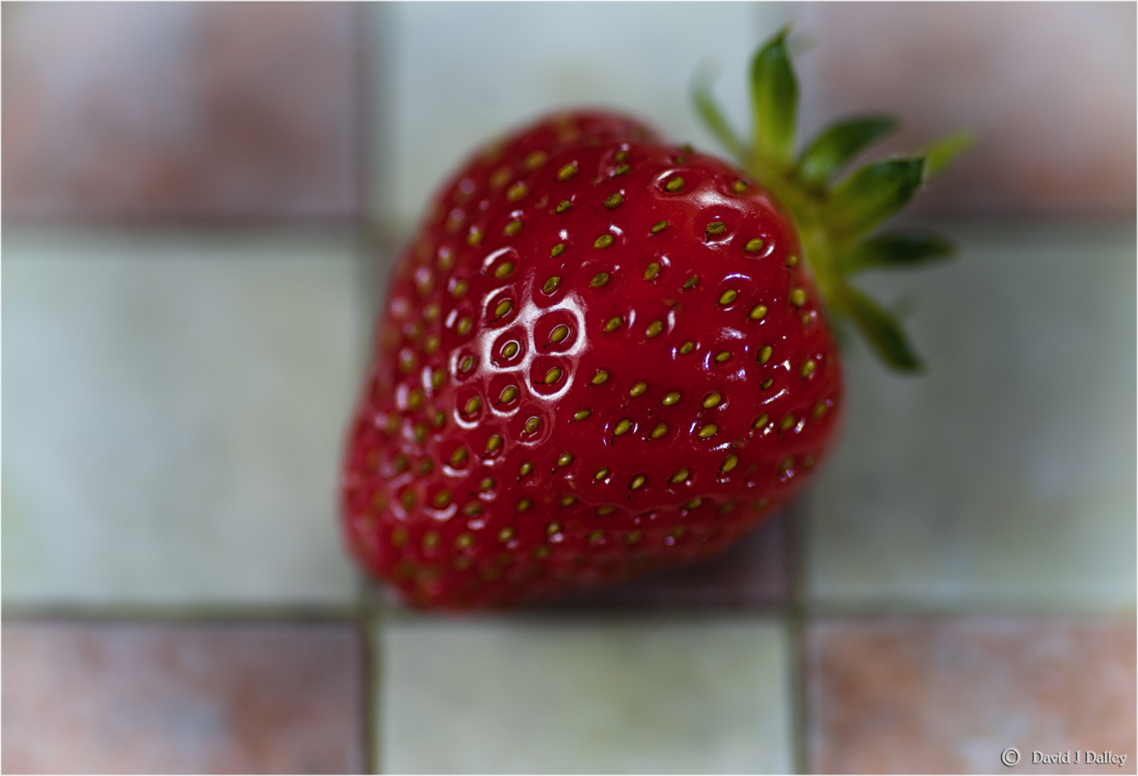 Spojené království, greatbritain, Červené, Anglie, stálý život, makro, Příroda, ovoce, ovoce, zahrada, růž, Sussex, báječný, jahoda, bobule, dof, Západní Sussex, Spojené království, Británie, práce na zahradě, jahody, Chutný, 100mm, semena, Lahodné, Pips, ovocný, domácí, shallowdepthoffield, shallowdof, englishcountrygarden, Gardenproduce, Růst, Homeproduce, tokina100mm, D700, tokina100mmf28atxprod, nikond700, daviddalley, davidjdalley