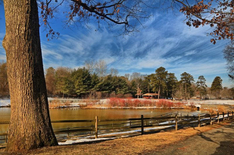 บ่อน้ำ,ต้นไม้,เมฆ,ช่วงไดนามิกสูง,HDR,photoaday