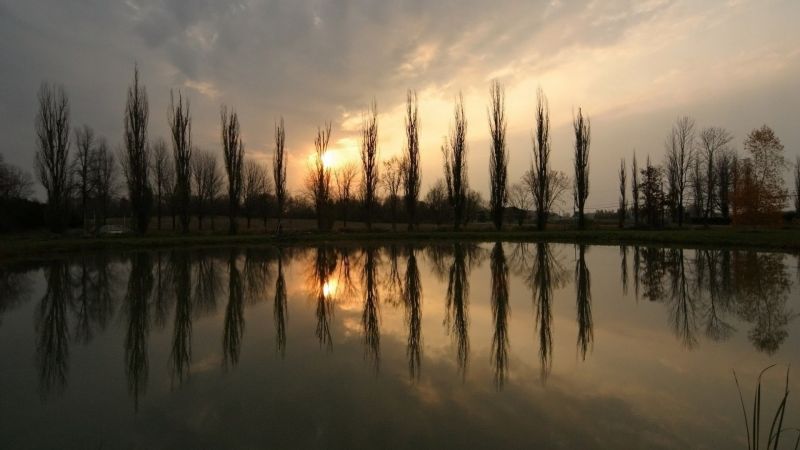 slunečnímu záření, stromy, krajina, západ slunce, noc, jezero slunečnímu záření, stromy, krajina, západ slunce, noc, jezero