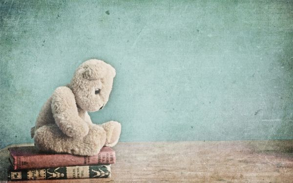 Toy, bear, teddy, books