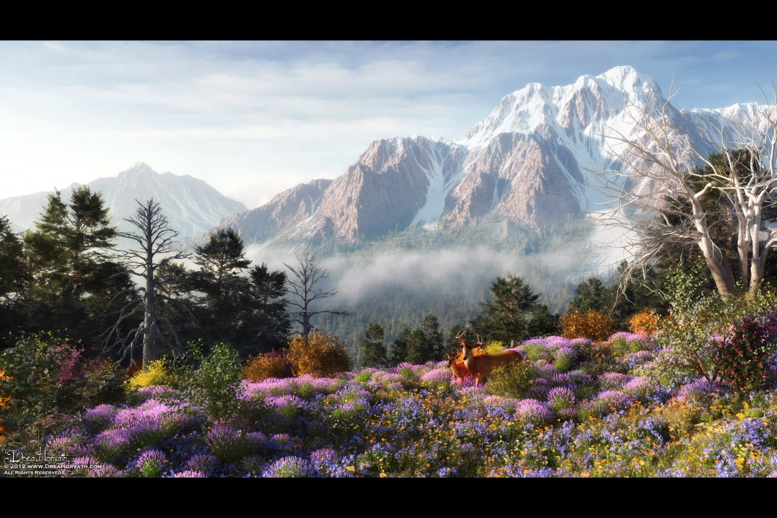 paesaggio, natura, erba, valle, natura selvaggia, altopiano, mount arte, nube, albero, montagna, fiore, flora, prato, Fiore di campo, morfologie montane, landform, caratteristica geografica, ecosistema, catena montuosa