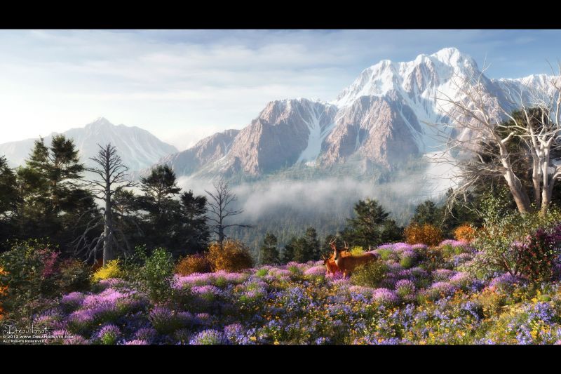 landscape,nature,grass,valley,wilderness,plateau