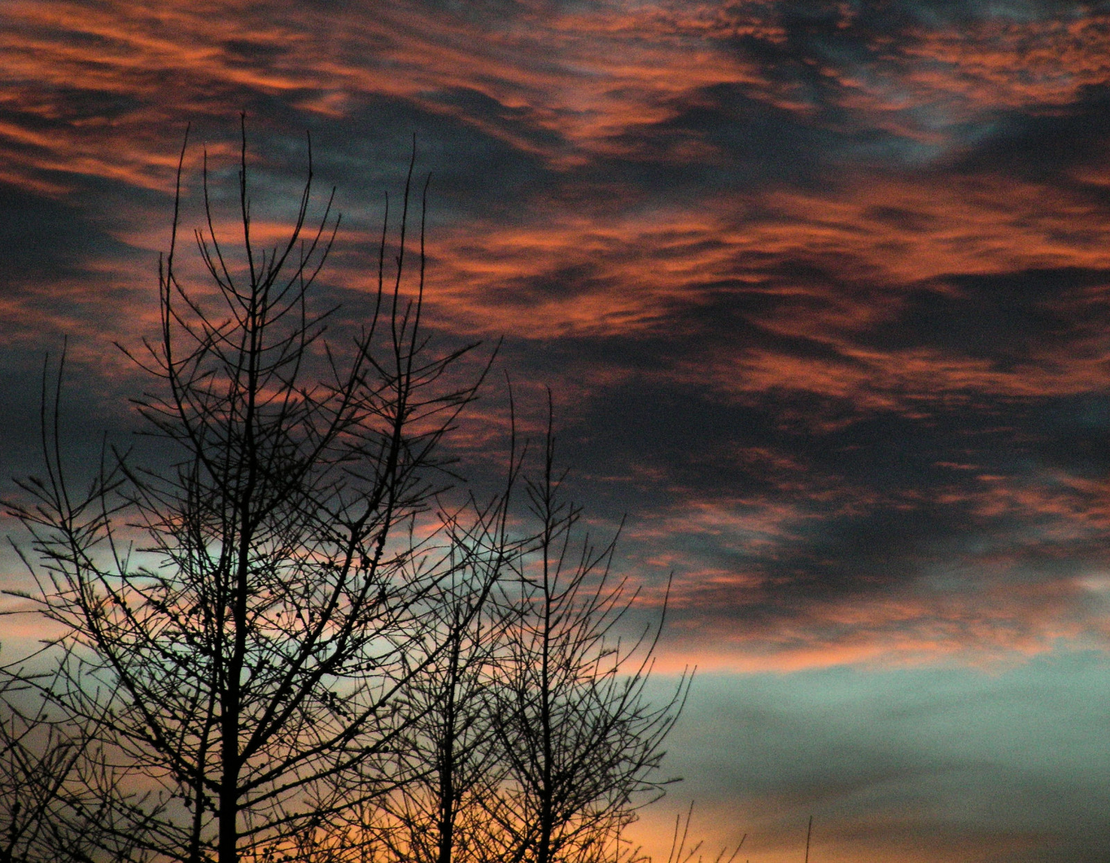 slunečnímu záření, krajina, západ slunce, nebe, větev, svítání, uklidnit, večer, ráno, slunce, horizont, atmosféra, Kanada, soumrak, mrak, strom, svítání, dech beroucí, naturesfinest, mywinners, aplusphoto, během dne, platinumphoto, colorphotoaward, počítač tapeta, Atmosféra Země, odlesk, červená obloha v dopoledních hodinách, meteorologický jev, nový Brunswick, carolesphoto