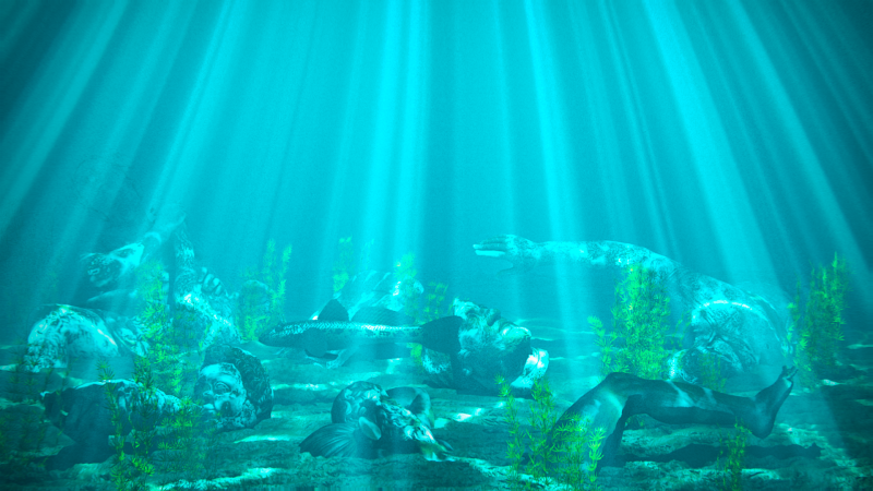 víz,szervezet,zöld,égszínkék,szórakozás,függöny