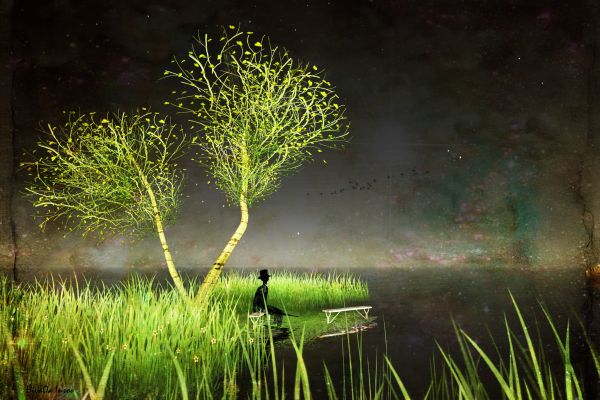 Ánh sáng mặt trời,phong cảnh,rừng,Nước,thiên nhiên,đêm