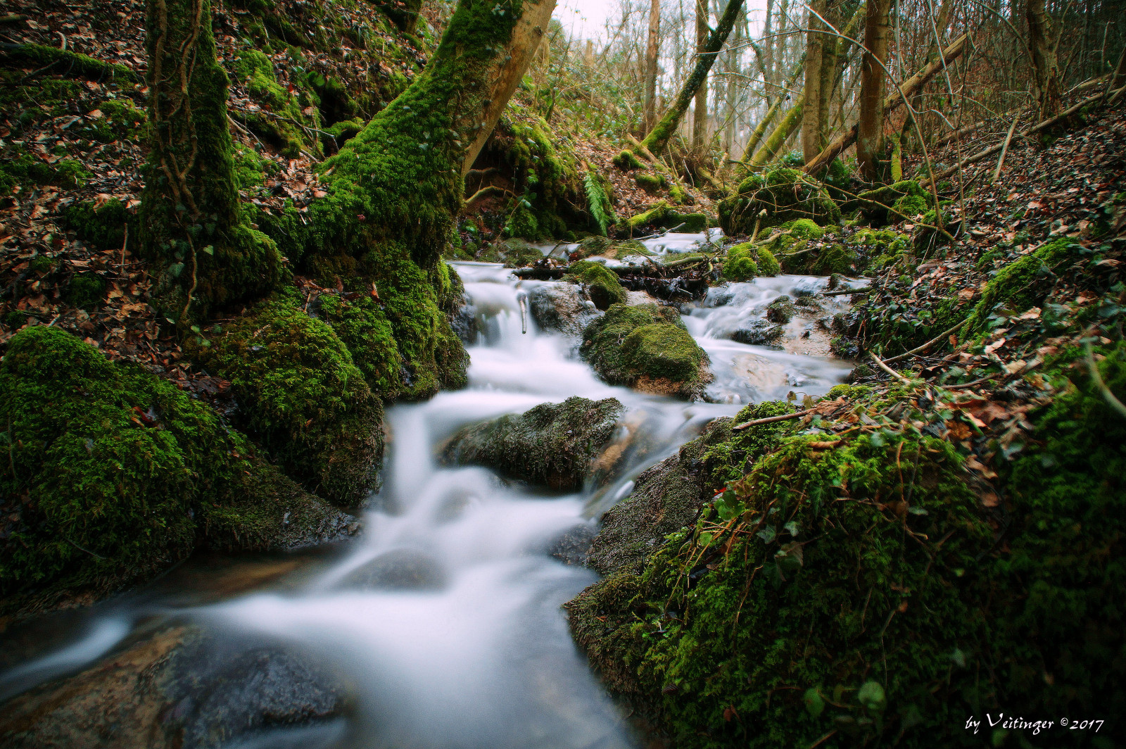 krajina, les, vodopád, voda, Skála, Příroda, odraz, tráva, mech, Německo, řeka, divočina, džungle, proud, banka, deštný prales, přírodní rezervace, rokle, strom, list, Landschaft, rostlina, ndfilter, natur, deutschland, vodní tok, vegetace, Rychlý, zátoka, wasser, langzeitbelichtung, zálesí, Wasserfall, schwarzwald, Černý les, longtimeexposure, biome, tělo z vody, prales, vodní prvek, bach, non vaskulární suchozemská rostlina, lužní les, flus, národní park, koryto, arroyo, Bádensko-Württembersko, vodní zdroje, graufilter, veitinger, m hlbach, přítok, tropical and subtropical coniferous forests, riparian zone, valdivian temperate rain forest, fluvial landforms of streams