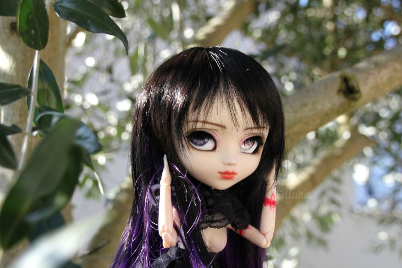 Pullip,pullips,Custo,costume,fc,pieno