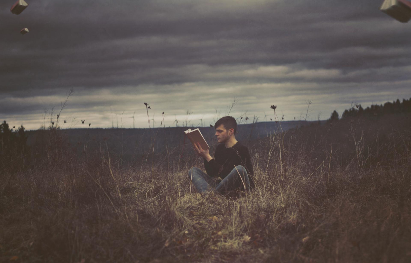 slunečnímu záření, krajina, portrét, tráva, nebe, pole, knihy, večer, letící, vítr, atmosféra, Únor, 2014, mrak, strom, 50mm, rostlina, dívka, zábava, tma, chlap, já, projekt, prérie, Atmosféra Země, tráva rodina, meteorologický jev, jev, ekoregion, rene, Silbernagel, uznat, 365100