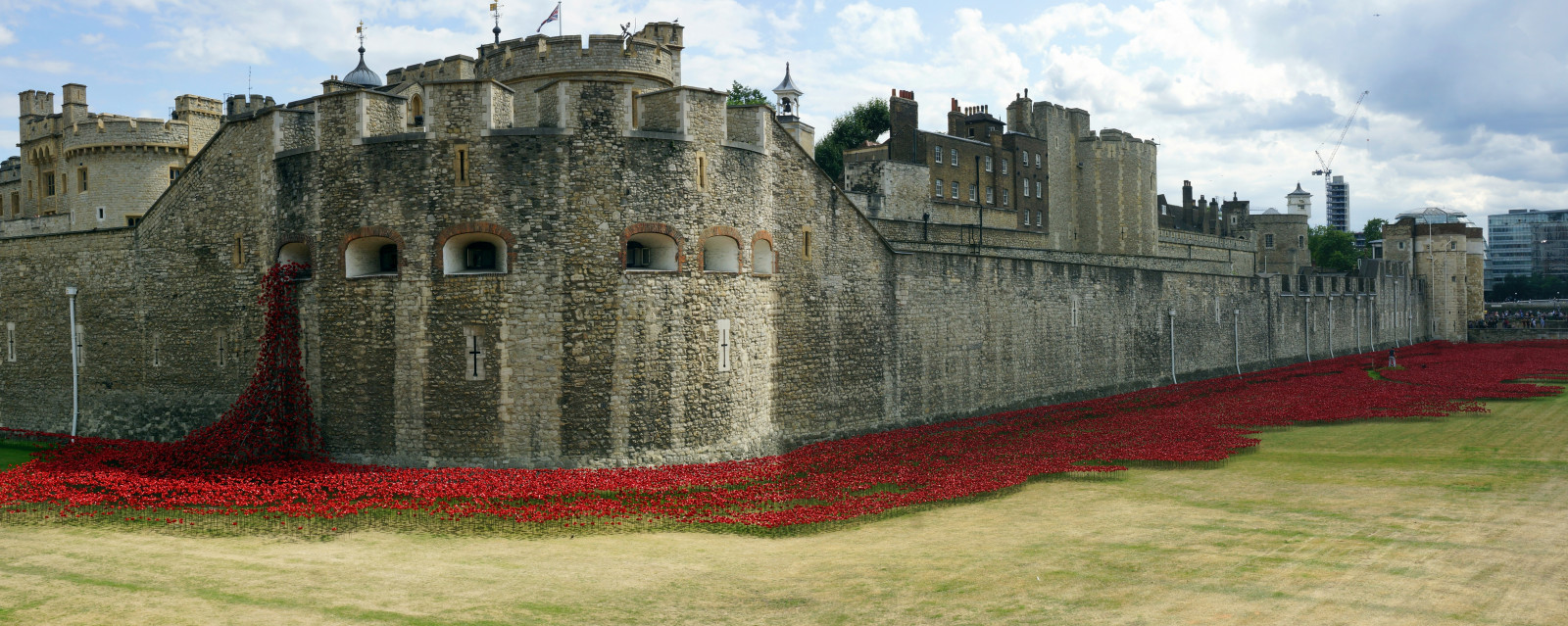 Spojené království, světlo, Červené, letní, panoráma, slunce, barva, Londýn, UMĚNÍ, keramický, tok, Zobrazit, srpen, výstava, mák, vlčí mák, první světová válka, stěny, ww1, vzpomínka, hradní příkop, greatwar, první světová válka, londýnský Tower, stevemaskell, vzpomínková slavnost, 2014, Tompiper, Mikrosoftice, Paulcumminy, towerpoppies, Krvavé útesy a útesy